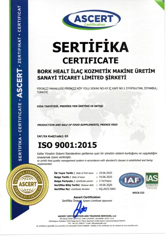 Сертификат ISO 9001 + 14001 + 22000 + GMP — Bork Health İlaç